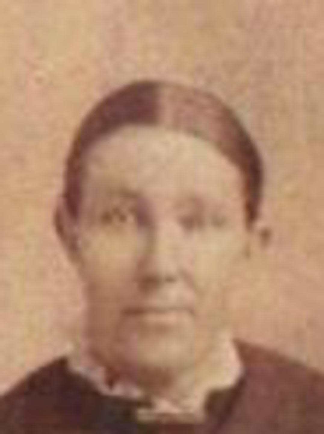 Alice Lovina Hobbs (1858 - 1926) Profile
